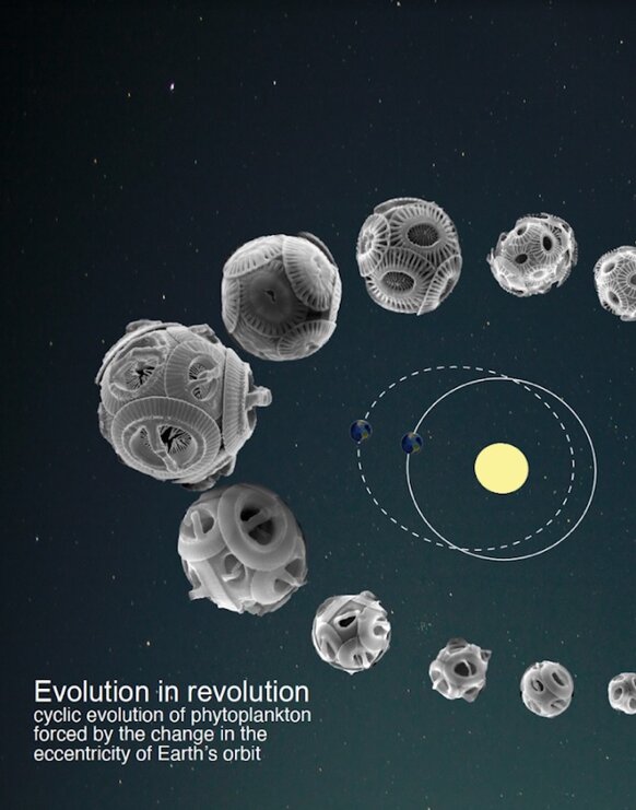 Evolution in revolution