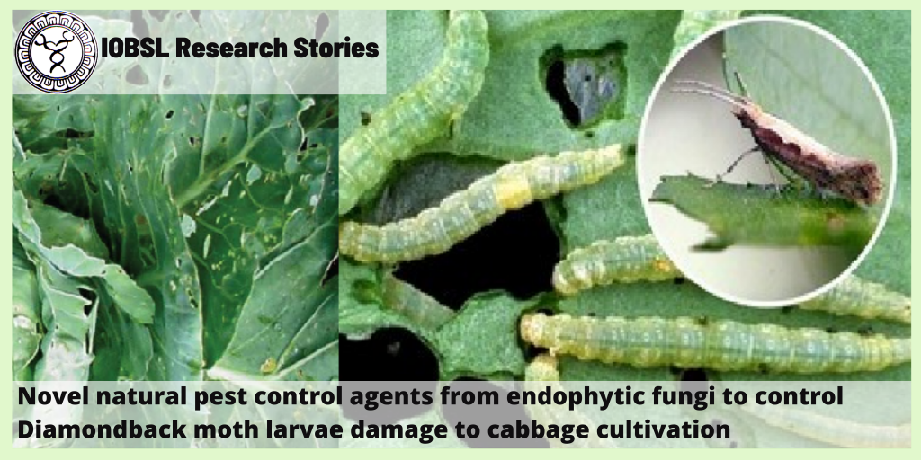 Novel natural pest control agents from endophytic fungi to control